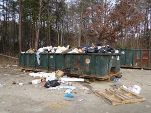 dumpster-view-300x225